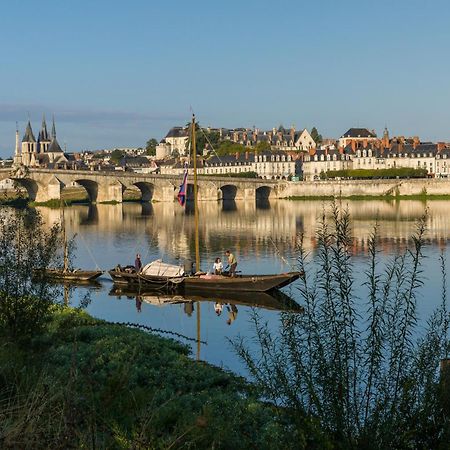 Le Wilson - Vue Imprenable Sur La Loire Et Le Chateau De Блуа Екстер'єр фото