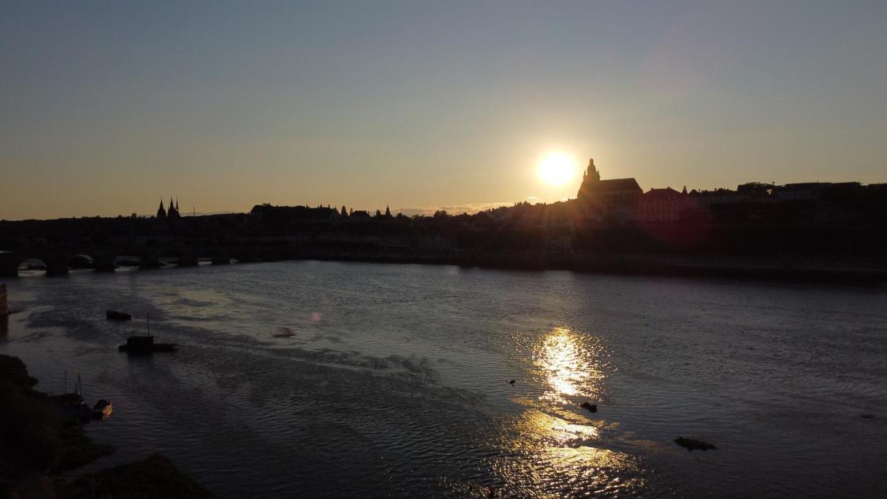 Le Wilson - Vue Imprenable Sur La Loire Et Le Chateau De Блуа Екстер'єр фото