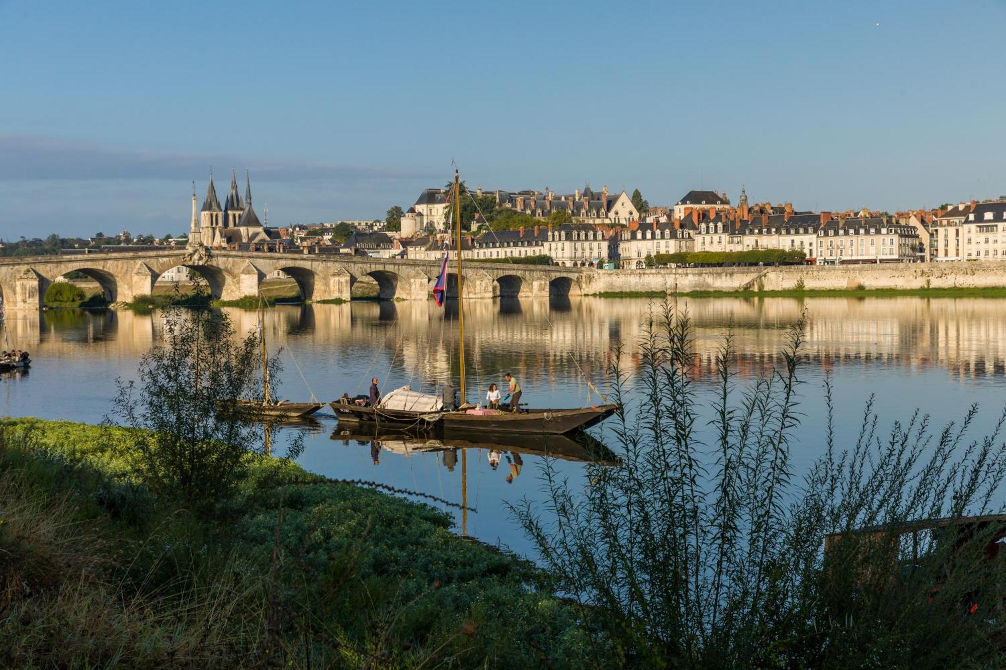 Le Wilson - Vue Imprenable Sur La Loire Et Le Chateau De Блуа Екстер'єр фото